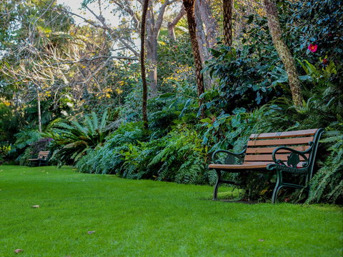 EG Waterhouse National Camellia Gardens - Newcastle Accommodation 0