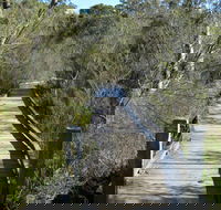 Falcon Crescent Link Track - New Castle Tourism
