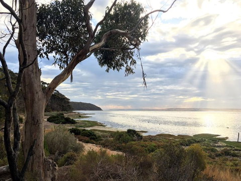 Fish Cannery Walking Trail - New Castle Tourism 0