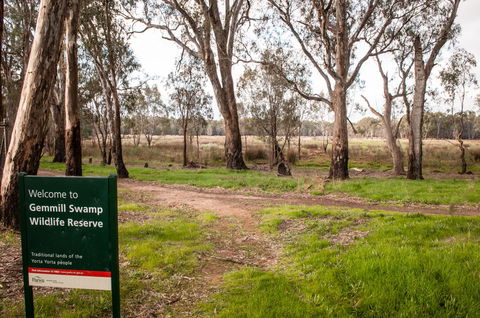 Gemmill Swamp Wildlife Reserve - New Castle Tourism 0