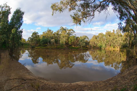 Gemmill Swamp Wildlife Reserve - New Castle Tourism 1