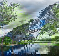 Gold Coast Regional Botanic Gardens - Newcastle Accommodation