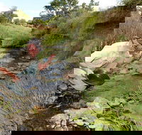 Gold Panning Deep Creek - New Castle Tourism