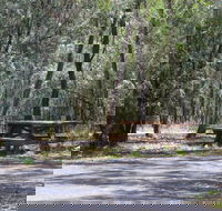 Goonoowigall State Conservation Area - Newcastle Accommodation