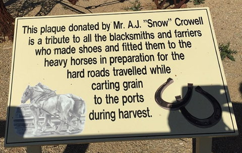 Gundersen Reserve - Newcastle Accommodation 1