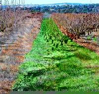 Hall Family Orchards - New Castle Tourism