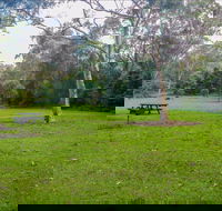 Haynes Flat picnic area - Newcastle Accommodation