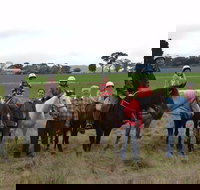 High Country Trail Rides - Newcastle Accommodation