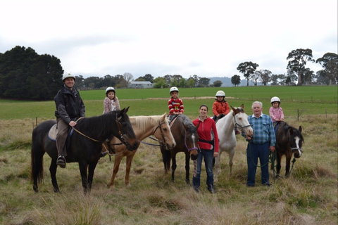High Country Trail Rides - Newcastle Accommodation 0