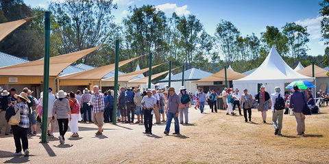 Ivory's Rock Conventions And Events - New Castle Tourism 2