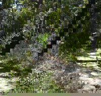 Karloo Walking Track