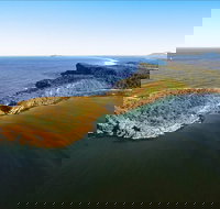 Kattang Nature Reserve - Newcastle Accommodation