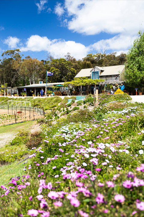 Kate's Berry Farm - Newcastle Accommodation 0