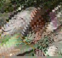 Koala Park Sanctuary - Newcastle Accommodation