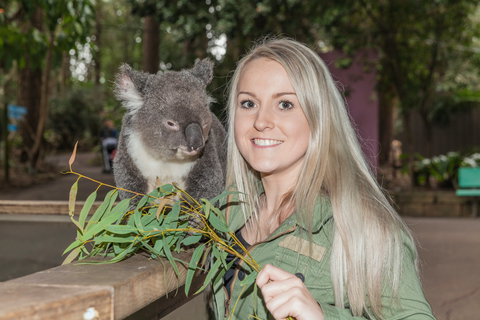Koala Park Sanctuary - Newcastle Accommodation 0