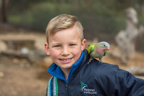 Kyabram Fauna Park - New Castle Tourism 2