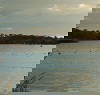 Lake Inverell Reserve - Newcastle Accommodation