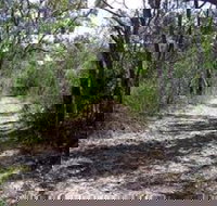 Lanky's Walk - Newcastle Accommodation