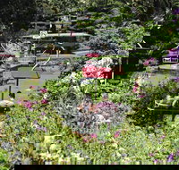 Launceston Gorge Scenic Chairlift - New Castle Tourism