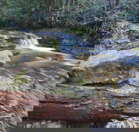 Liffey Falls Reserve - Newcastle Accommodation