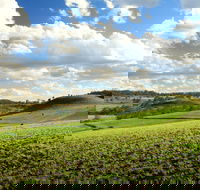 Lions Park Hodgson Vale - Newcastle Accommodation