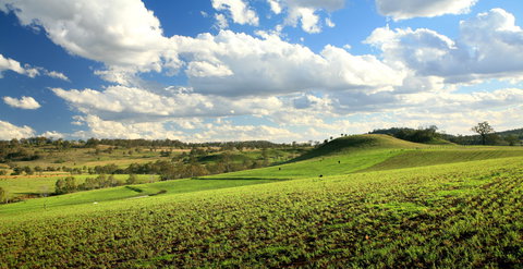 Lions Park, Hodgson Vale - Newcastle Accommodation 0