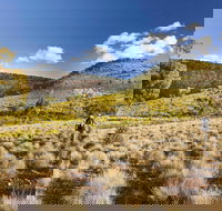 Little Mountain Walking Track - Newcastle Accommodation