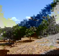 MacNuts WA Shop and Factory