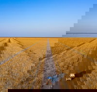 Matilda Way - Newcastle Accommodation