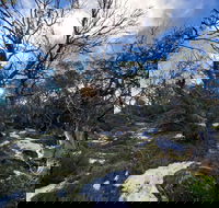 Mount Torbreck Summit Walk - Newcastle Accommodation