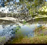 Murray Valley National Park - New Castle Tourism