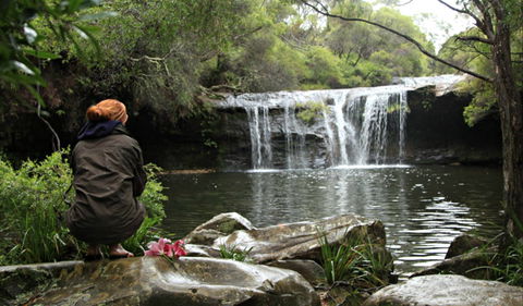 Nellies Glen Picnic Area - New Castle Tourism 0
