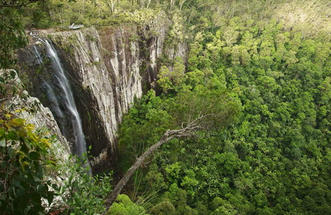 Nightcap National Park - Newcastle Accommodation 0