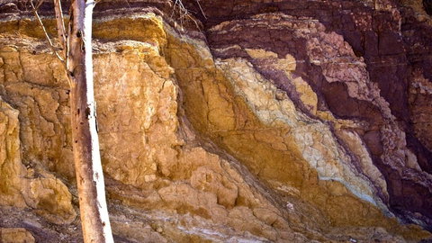 Ochre Pits - Newcastle Accommodation 2