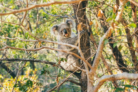 Radical Bay Track - New Castle Tourism 2
