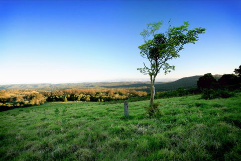 Ravensbourne - Newcastle Accommodation 0
