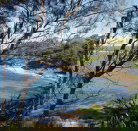 Salmon Haul Reserve Cronulla