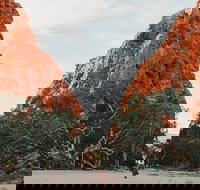 Simpsons Gap - Newcastle Accommodation