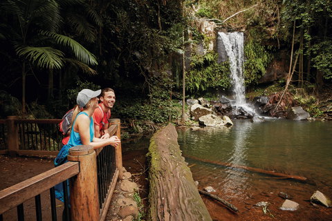 Tamborine National Park - Newcastle Accommodation 1