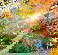 The Blue Mountains Botanic Garden Mount Tomah - Newcastle Accommodation