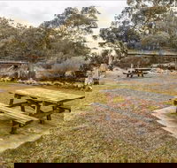 Thredbo River picnic area - Newcastle Accommodation