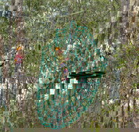 TreeTops Newcastle - Newcastle Accommodation