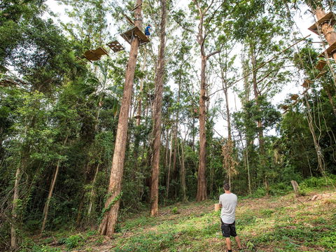 TreeTop Challenge - Sunshine Coast - Newcastle Accommodation 1