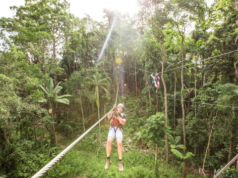 TreeTop Challenge - Sunshine Coast - Newcastle Accommodation 2