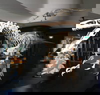 UNE Natural History Museum - Newcastle Accommodation