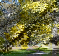 Wattle Park - Newcastle Accommodation