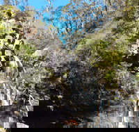 Waterfall Walk Kanangra-Boyd National Park - Newcastle Accommodation