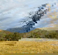 Weddin Mountains National Park - New Castle Tourism