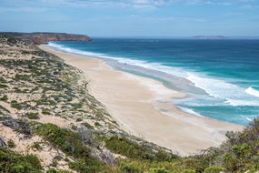 Book Coffin Bay SA Attractions Newcastle Accommodation Newcastle Accommodation