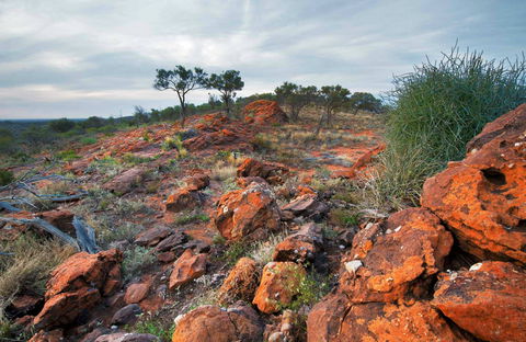 Western Ridge Walk - New Castle Tourism 0
